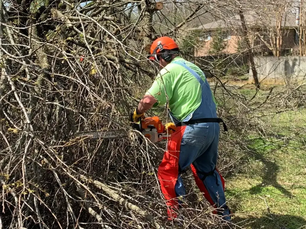 Disaster relief volunteer using chainsaw to help remove downed trees