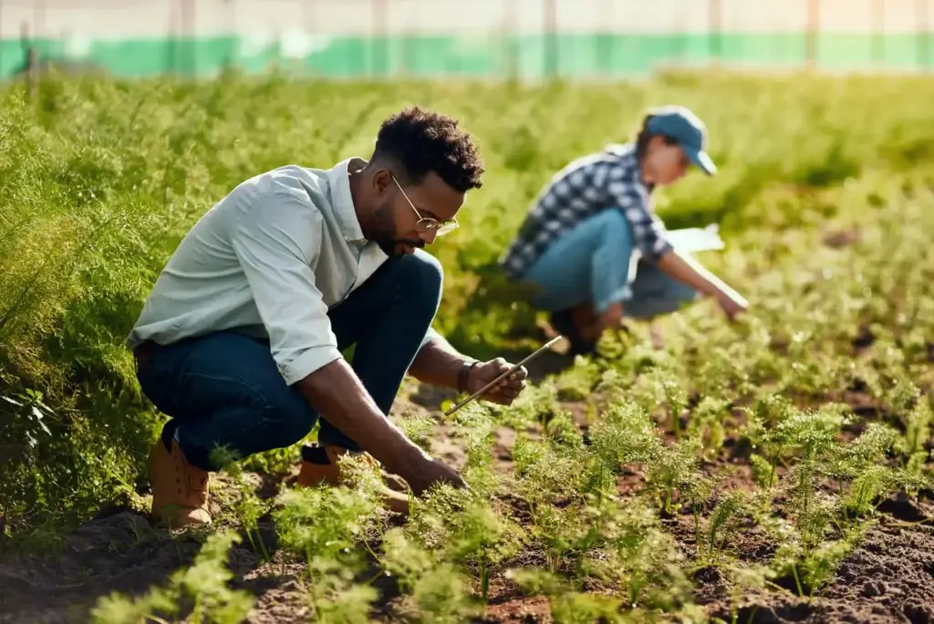 Man with tablet bending down to inspect plants on the ground. Woman with hat on behind him doing the same.