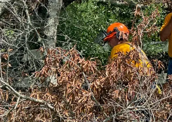 Alabama Baptist Disaster Relief volunteer uses chainsaw to clear debris after Hurricane Beryl