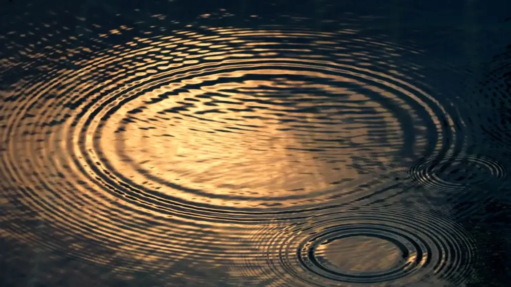 Ripple circles on dark body of water