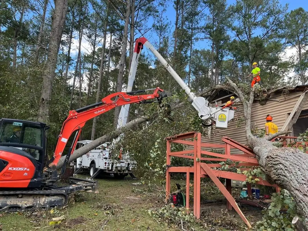 Alabama Baptist Disaster Relief teams help cut and remove fallen trees in the Clearwater, South Carolina area in the wake of Hurricane Helene.