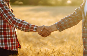 Two farmers standing in a wheat field and shake hands at sunset.